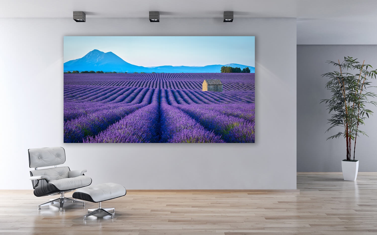 Wandbild o. Küchenrückwand Lavendelblüte Provence Frankreich Ausführung  Leinwand Canvas Grösse (2:1) 60 x 30cm