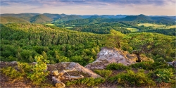 Panoramabild Auf den Höhen im Pfälzer Wald