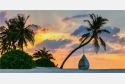 Panoramabild Strandlounge unter Palmen der Südsee