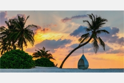 Panoramabild Strandlounge unter Palmen der Südsee