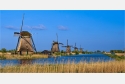 Panoramabild Die Windmühlen von Kinderdijk