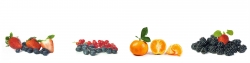 Panoramabild Frische Früchte