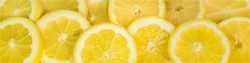 Panoramabild Frische Zitronnen Makro