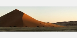 Panoramabild Düne im Sossusvlei Namibia
