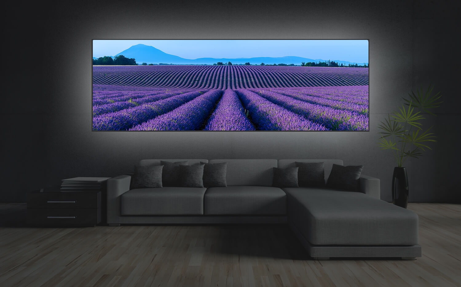 Wandbild o. Küchenspiegel Lavendel in der Provence Frankreich Grösse (3:1)  120 x 40cm Ausführung Leinwand Canvas
