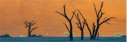Panoramafoto Namibia verdörte  Bäume  vor Düne