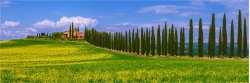Panoramafoto Frühlingsfeld in der Toskana