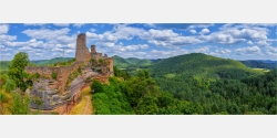 Panoramafoto Burgenblick über die Wälder der Pfalz