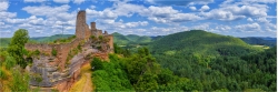 Panoramafoto Burgenblick über die Wälder der Pfalz
