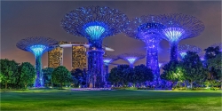 Panoramabild Lichtbäume Garden by the Bay Singapur