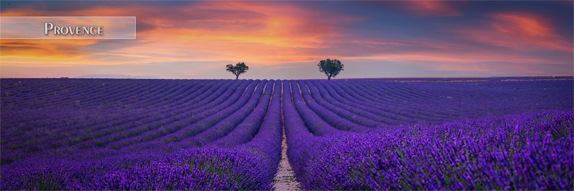 Bilder aus der Provence als Wandbild oder Küchenrückwand
