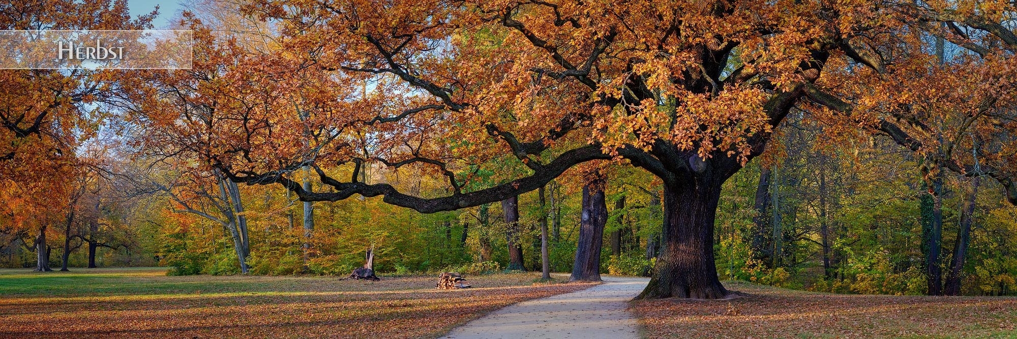 Herbst Bilder als Wandbild oder Küchenrückwand