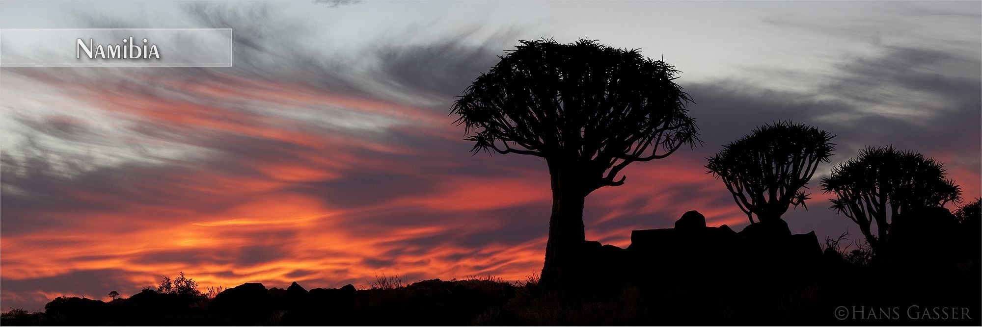 Bilder als Wandbild oder Küchenrückwand aus Namibia
